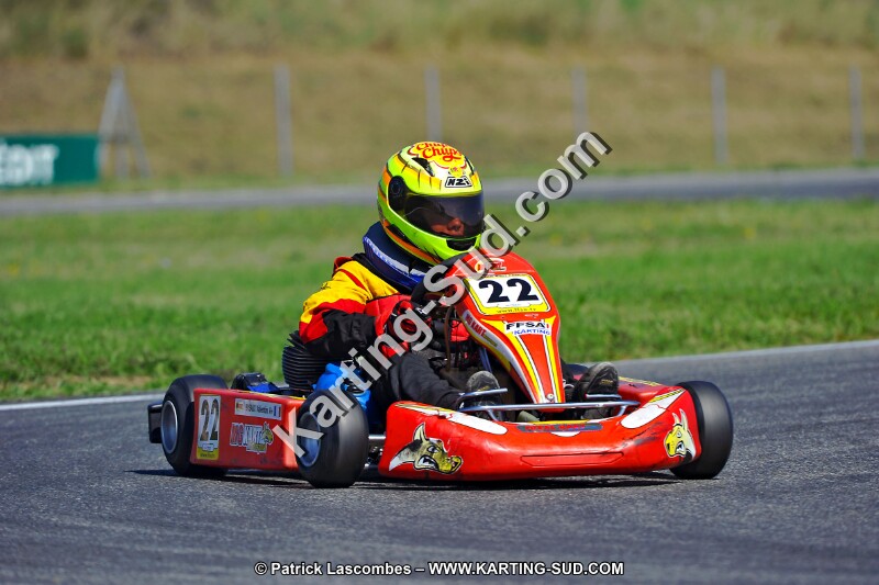 DSC_ (1372).jpg